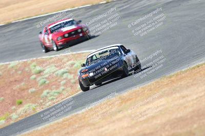 media/May-06-2023-Lucky Dog Racing (Sat) [[8f2256f436]]/Turn 2 10a/